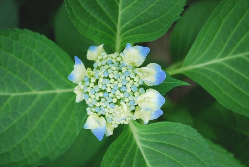 e0025300_20345077.jpg
