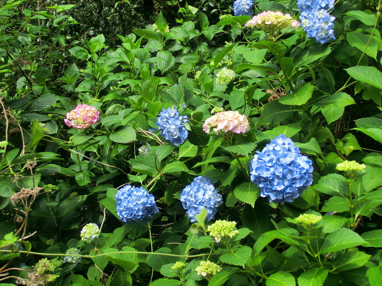 b0239909_21152763.jpg