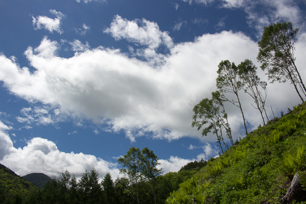 b0244811_833069.jpg