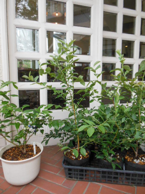 f0208812_22143743.jpg