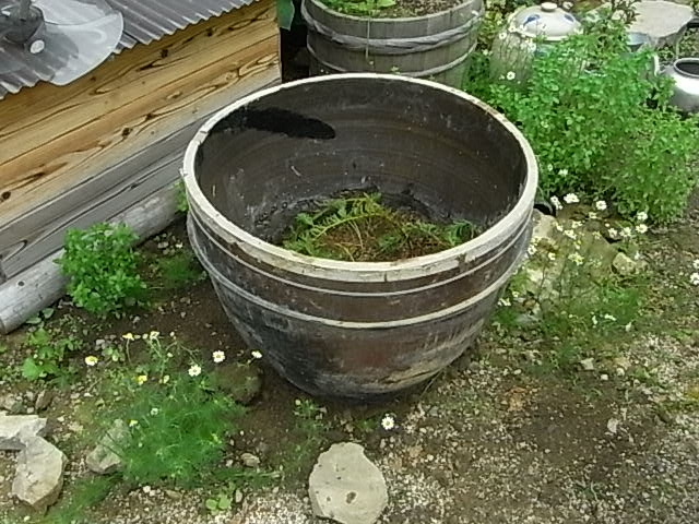 f0341616_6391596.jpg