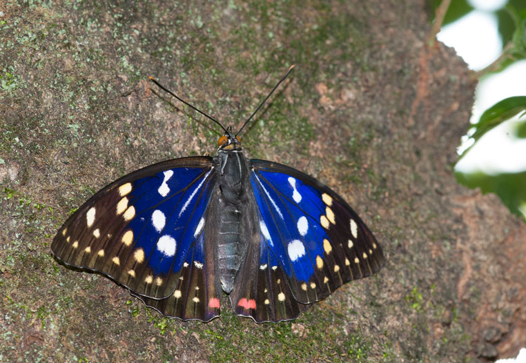 a0126632_8112839.jpg