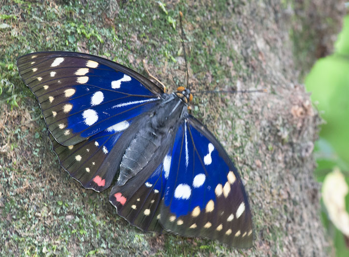 a0126632_8315798.jpg