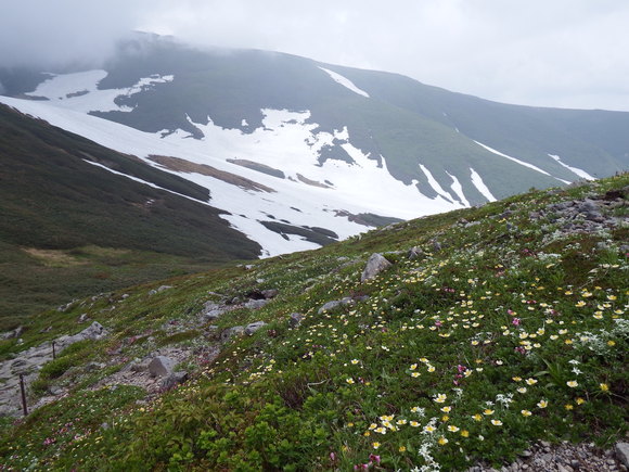 f0118332_1410574.jpg