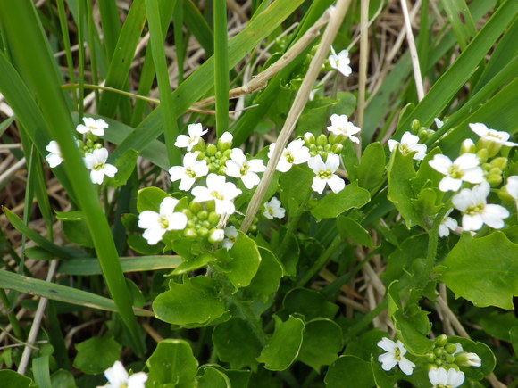 f0118332_14204063.jpg