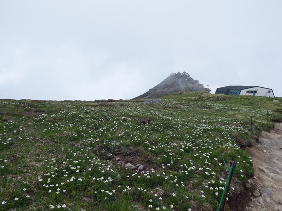 f0118332_14211910.jpg