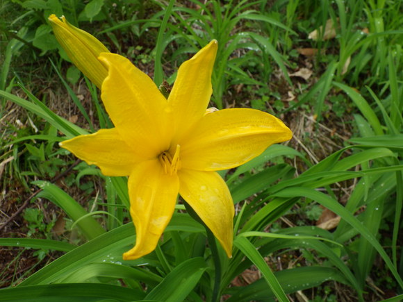 f0118332_1434750.jpg