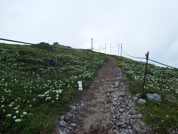 f0118332_14394590.jpg