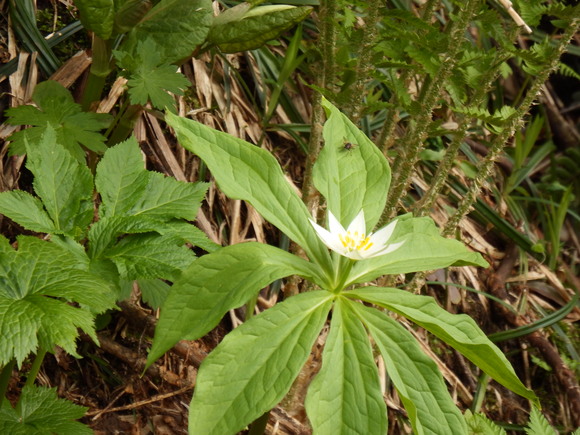 f0118332_1512498.jpg
