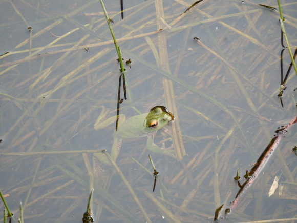 f0118332_15435999.jpg