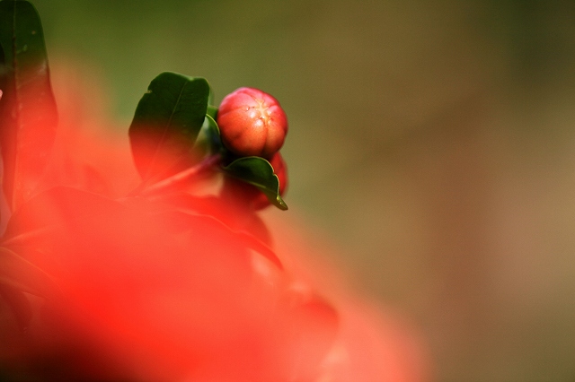 a0242438_22111029.jpg