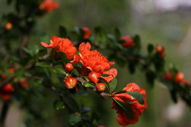 a0242438_2211312.jpg