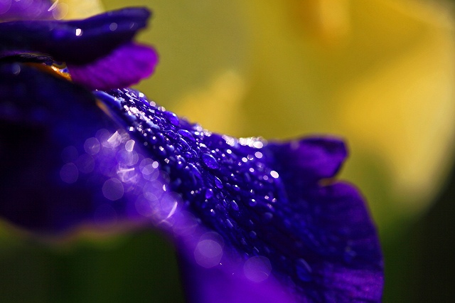 a0242438_2273173.jpg