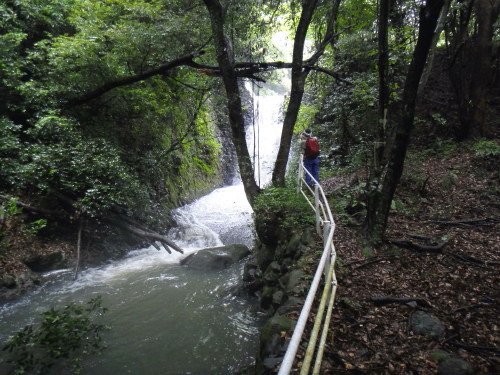 c0179351_2043068.jpg