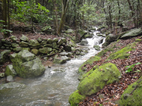 c0179351_2047152.jpg