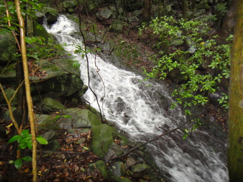 c0179351_20483953.jpg