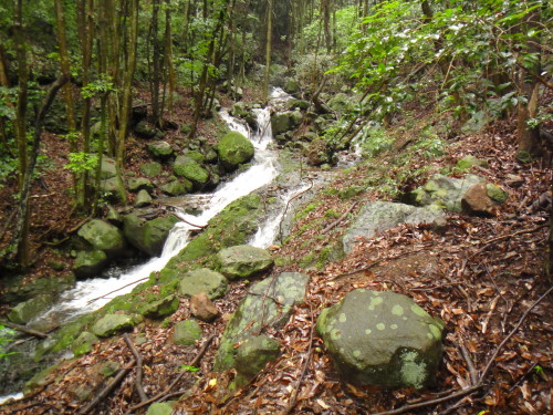 c0179351_20533357.jpg