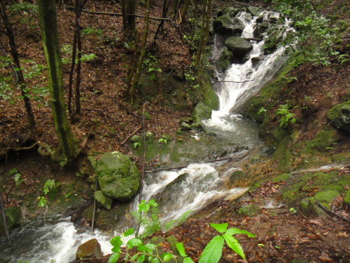 c0179351_2054388.jpg
