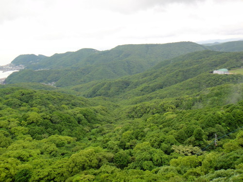 c0179351_2115820.jpg