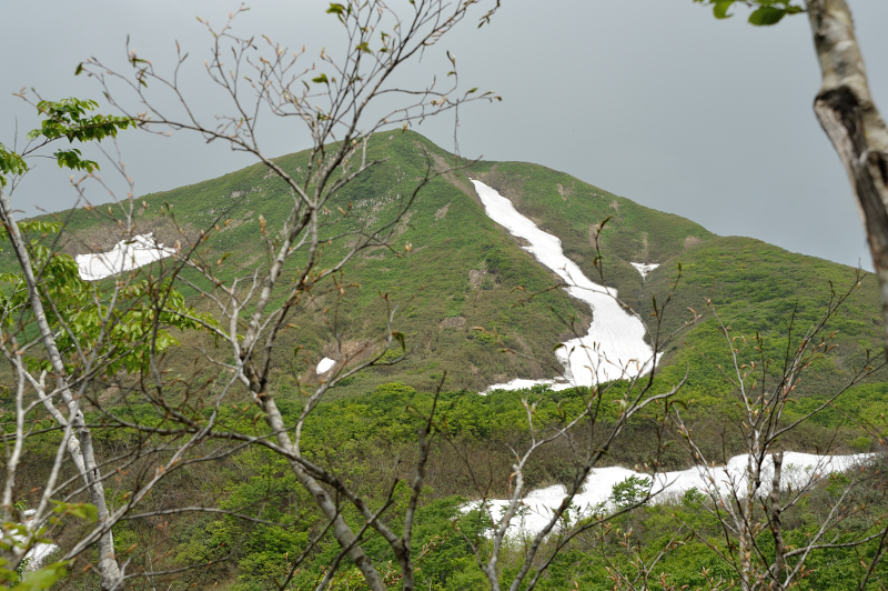 d0169556_10361729.jpg