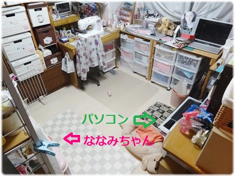 c0032257_19215266.jpg