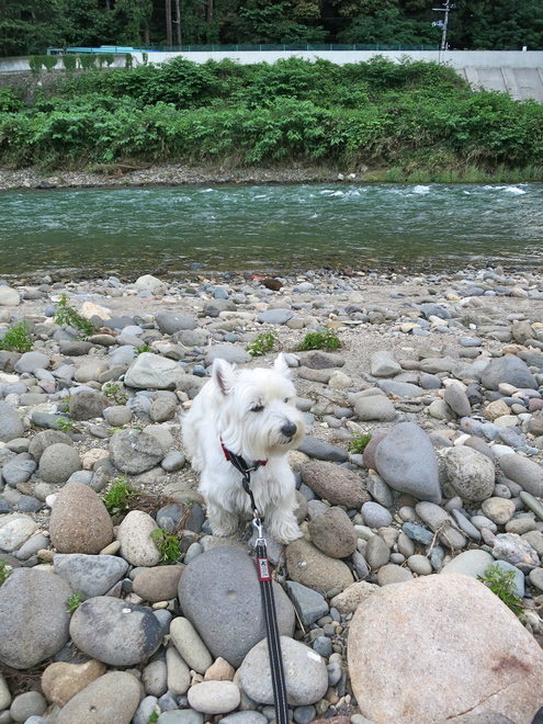 c0260460_1657499.jpg