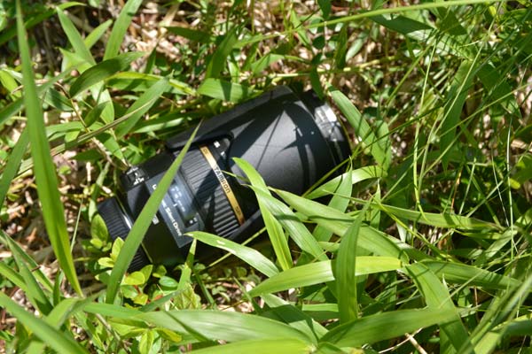 c0043361_1726865.jpg