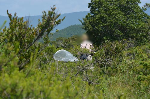 c0043361_1731634.jpg