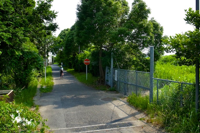b0247073_2285165.jpg