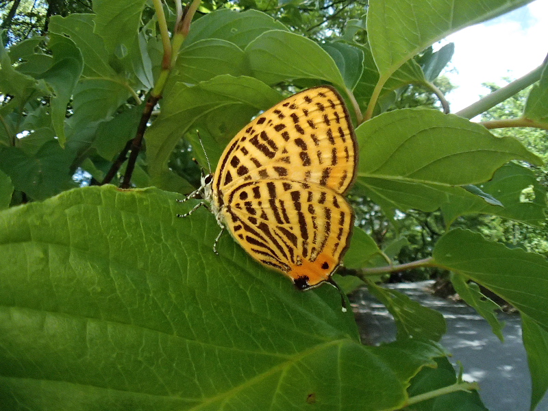 f0090680_2271368.jpg