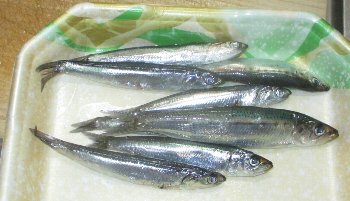 f0003283_12493597.jpg