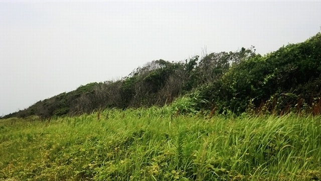 e0143690_16461330.jpg
