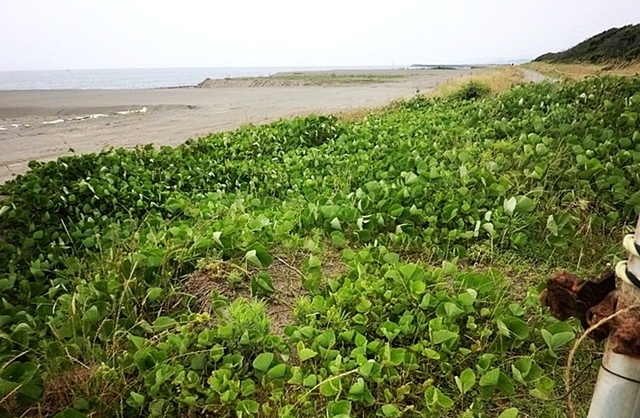 e0143690_16471939.jpg