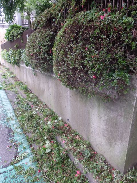 f0130894_20303096.jpg