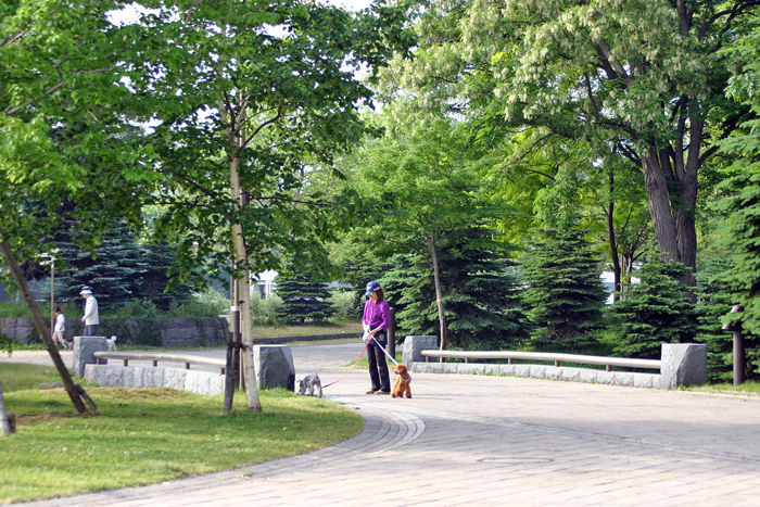 f0001895_21354953.jpg