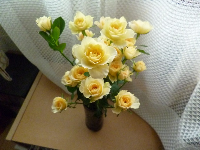 f0305995_0141416.jpg
