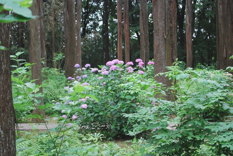 e0025300_1061769.jpg