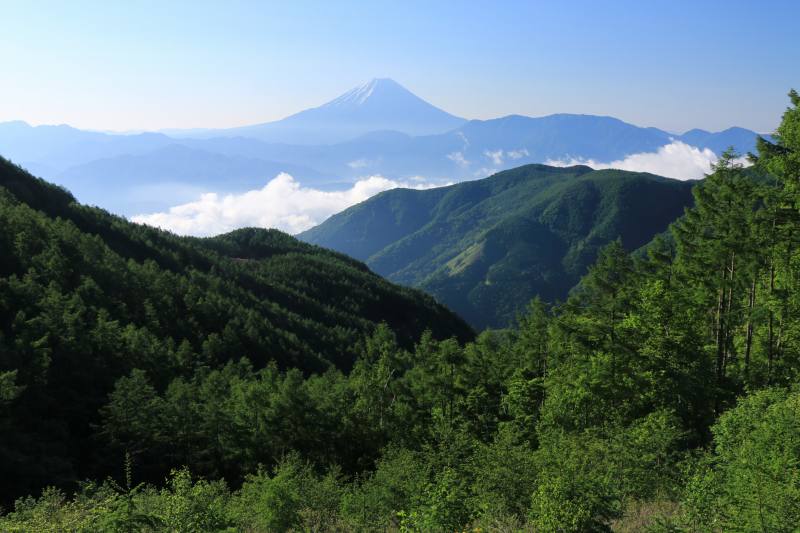 a0188405_121130.jpg