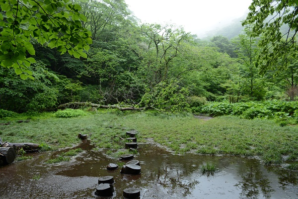 b0277008_7442158.jpg