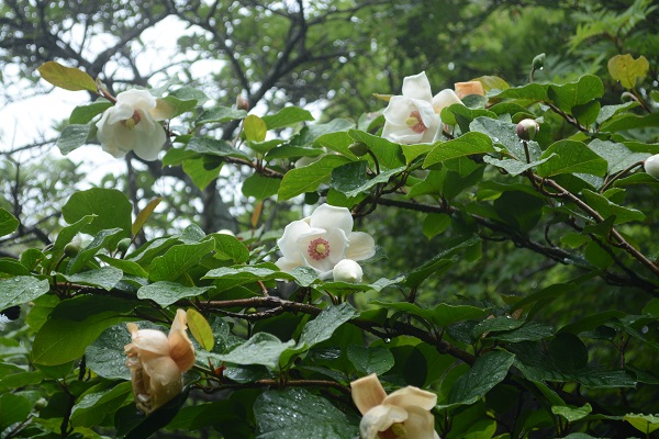 b0277008_7543481.jpg