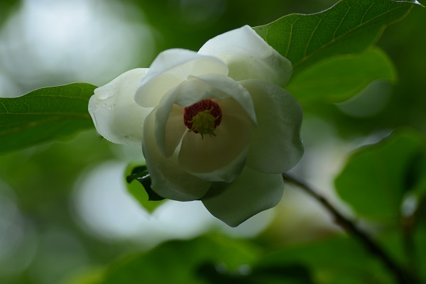 b0277008_7561782.jpg