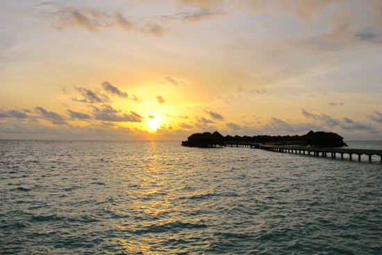 d0298808_1029671.jpg