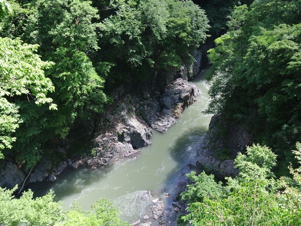 f0006510_149221.jpg