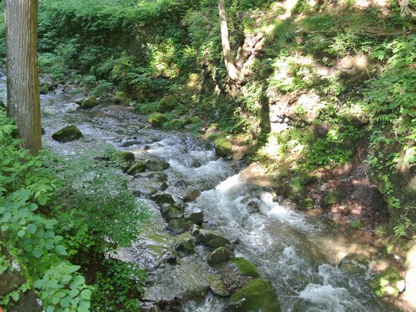 f0006510_19383042.jpg