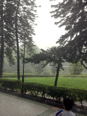 b0026822_12484868.jpg