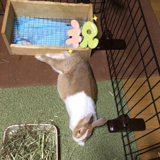 c0320623_1011687.jpg