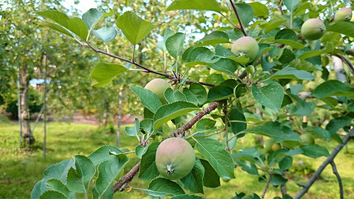 b0062024_11434448.jpg