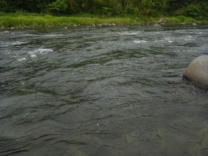 f0103126_2141844.jpg