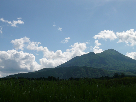 a0206332_7265257.jpg