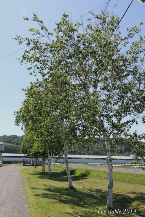 c0240132_638512.jpg